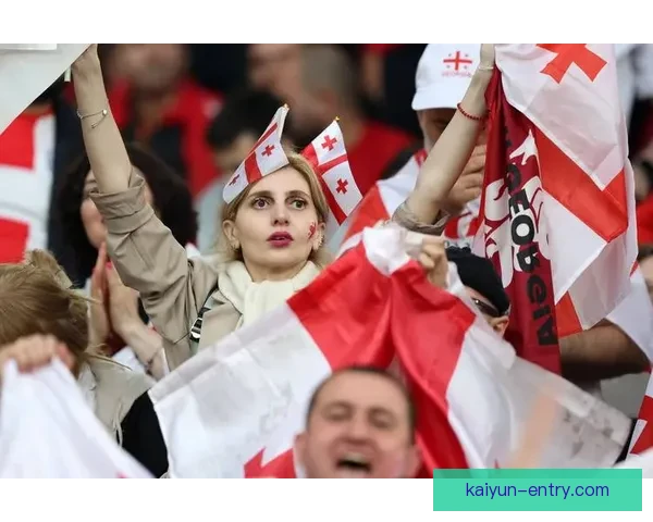 丹麦球迷滚旗歌成欧洲杯独特助威传统